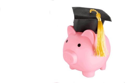 A pink piggy bank with a graduation cap on it.
